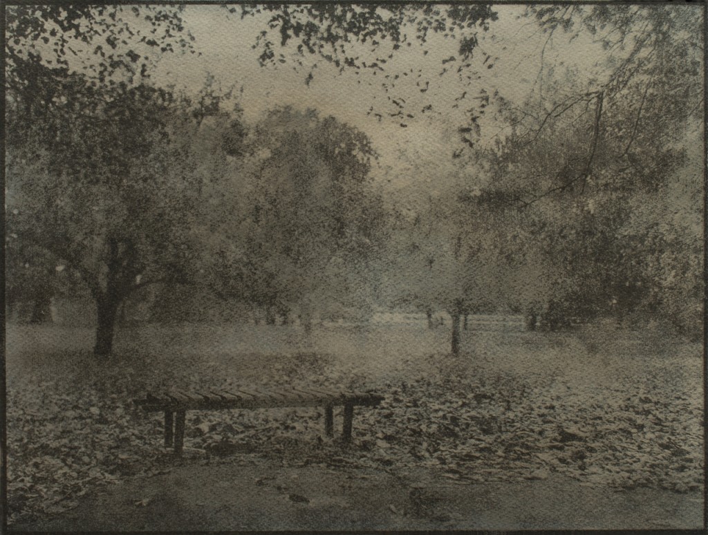 In the park